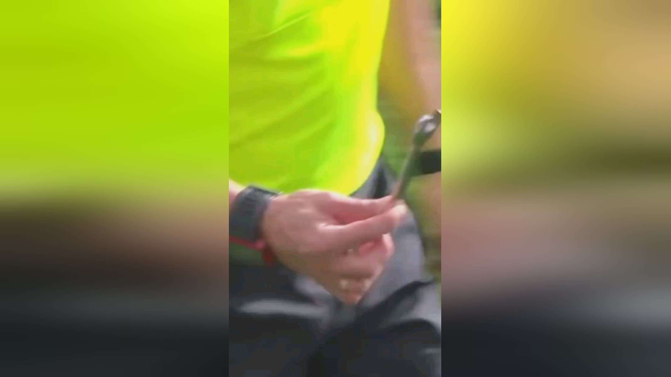 影响力在巴
